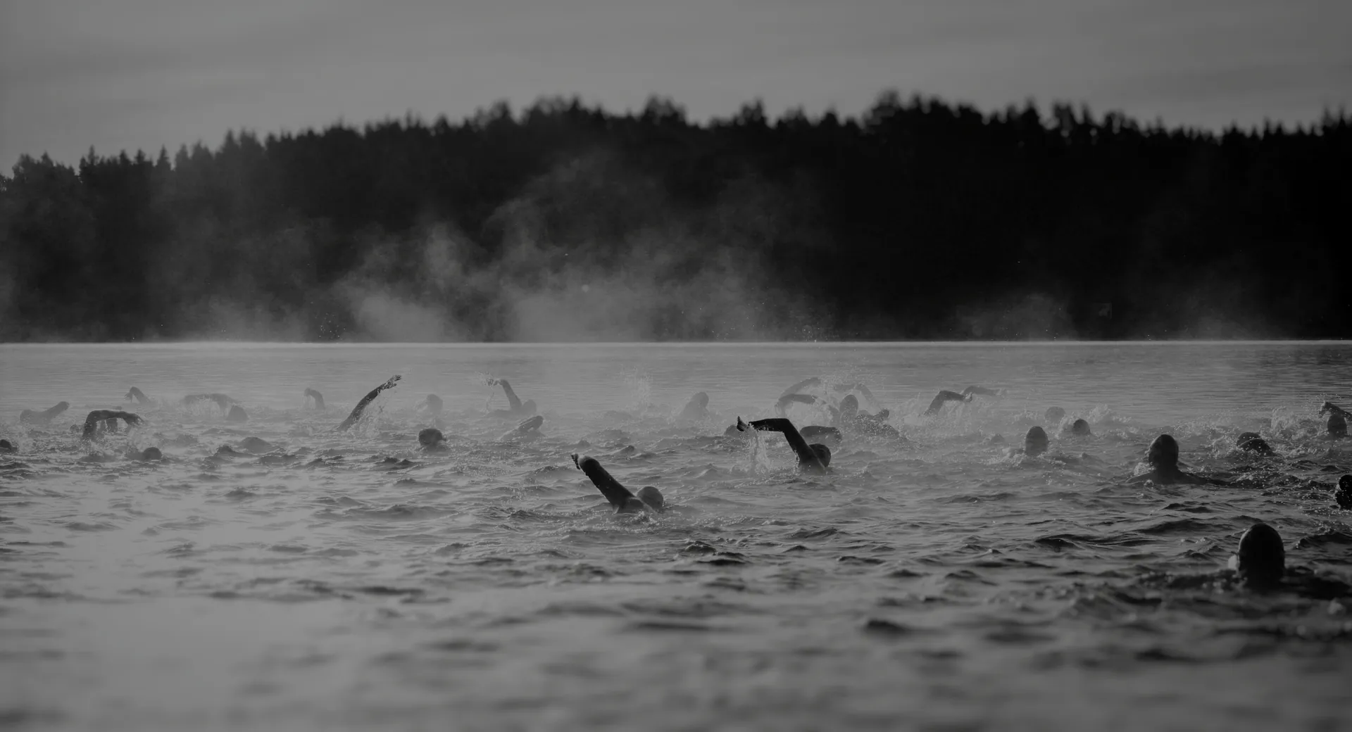 Swimmers in a lake during an open-water swim, illustrating SwimNow distance correction